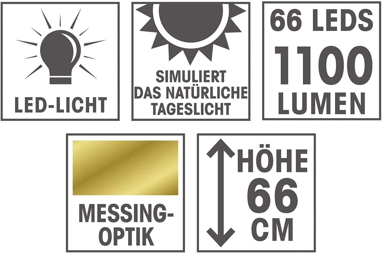 EASYmaxx LED-Tischleuchte Daylight | Intensiviert Farben, Details und Kontraste | Flexibler Lampenhals | Energiesparend dank LEDs, 12 W [Stahl/Kunststoff] — Ansicht 5