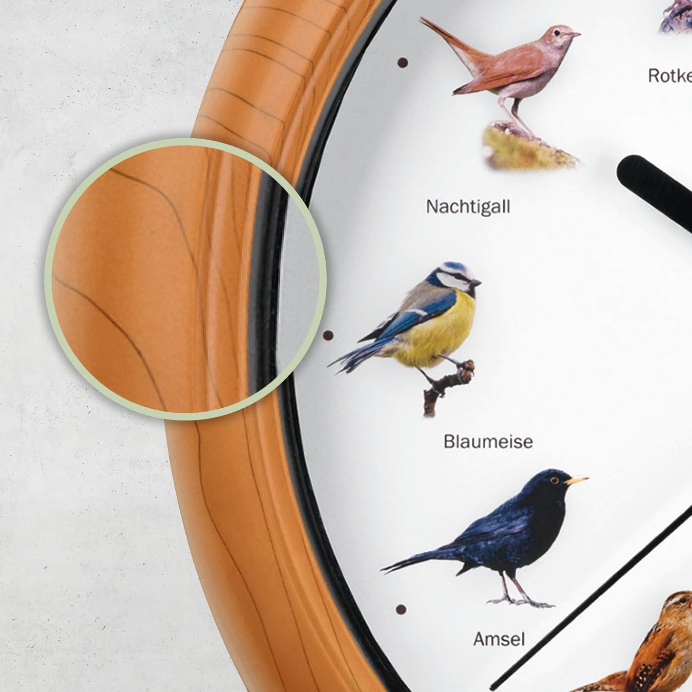 EASYmaxx Wanduhr mit 12 Singvogelgesang mit naturgetreuen Vogelmotiven | Automatische Abschaltung zwischen 21 und 5 Uhr | Rahmen Holzoptik [Batterien Typ AA erforderlich] — Ansicht 5