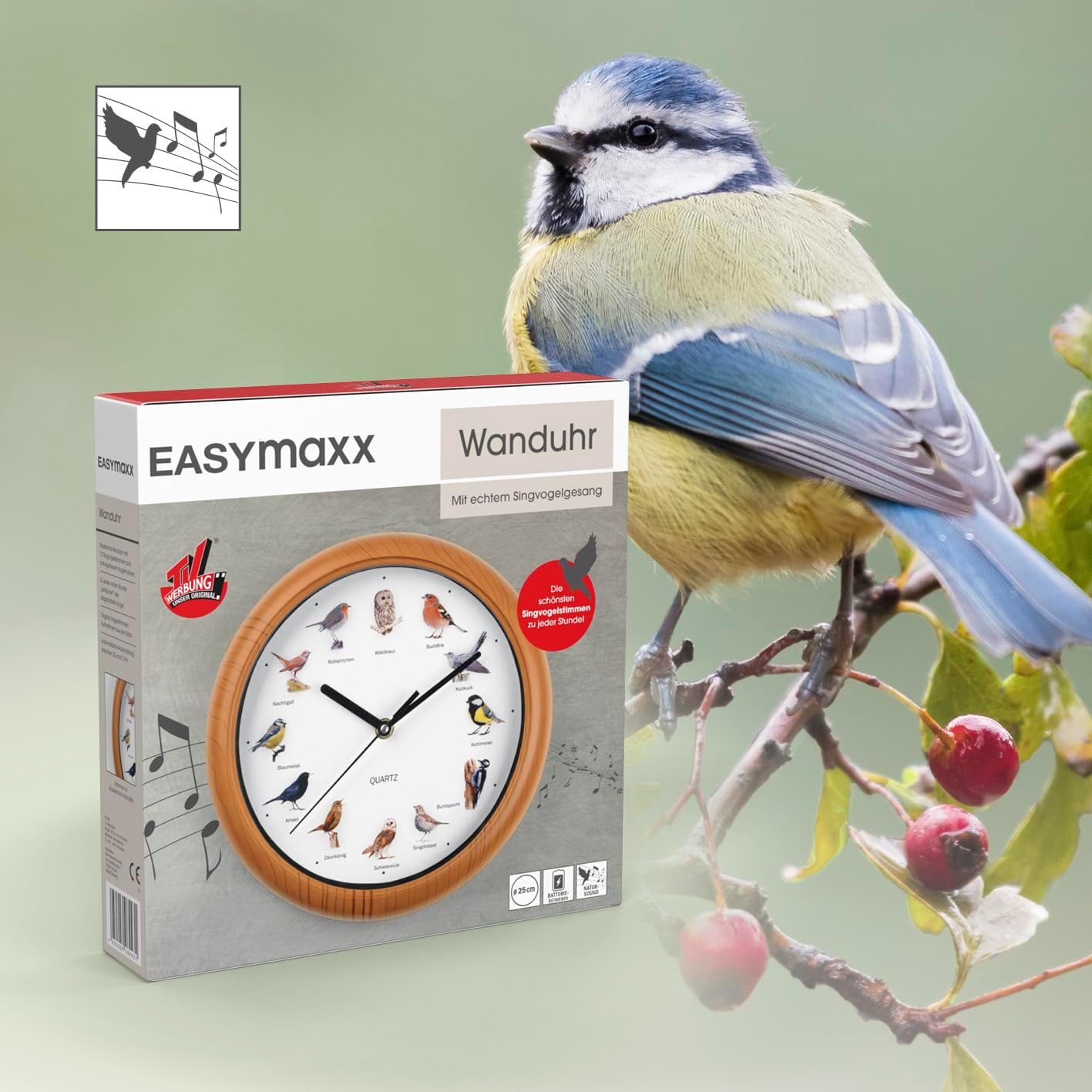 EASYmaxx Wanduhr mit 12 Singvogelgesang mit naturgetreuen Vogelmotiven | Automatische Abschaltung zwischen 21 und 5 Uhr | Rahmen Holzoptik [Batterien Typ AA erforderlich] — Ansicht 6